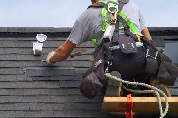 Best Metal Roofing Contractor  in Loch Lomond, VA