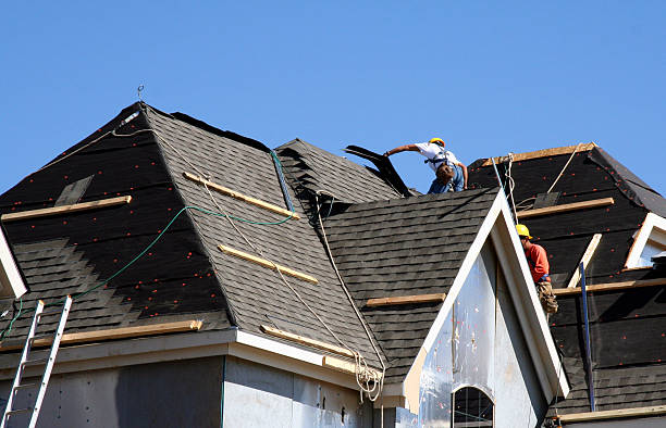 Best Roof Gutter Cleaning  in Loch Lomond, VA