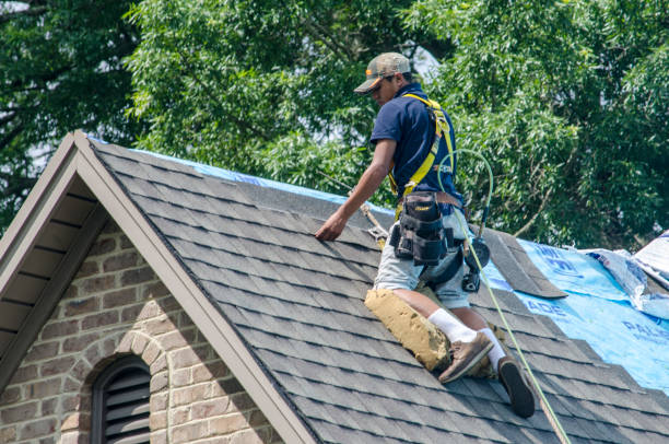 Best Storm Damage Roof Repair  in Loch Lomond, VA